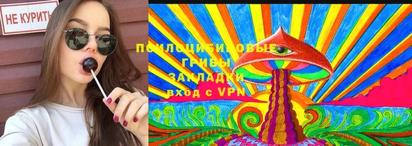 apvp Алексин