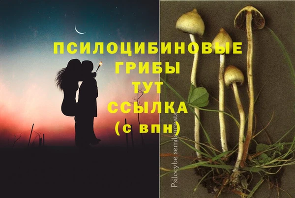 гидропоника Абинск