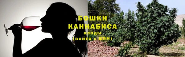 apvp Алексин