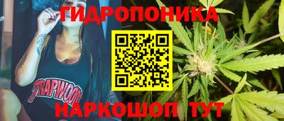 прущие грибы Краснодар