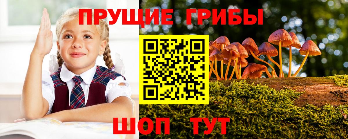 Псилоцибиновые грибы мухоморы Кизилюрт