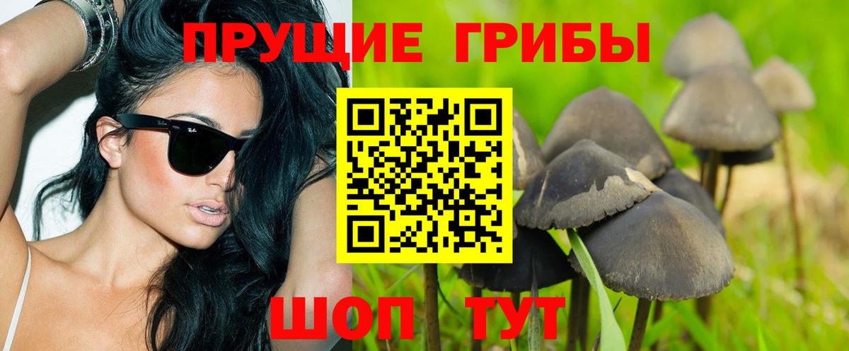 Псилоцибиновые грибы ЛСД  Вход с VPN  Кизилюрт 